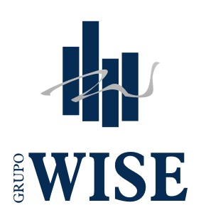 Log - Grupo Wise Logo